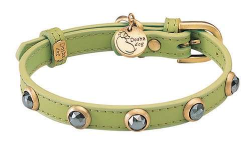 Hundehalsband Malibu Petit Applegreen