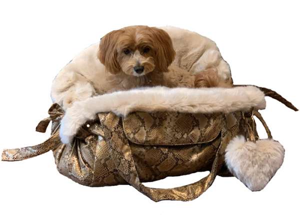 Luxus Hundetasche MADE IN HEAVEN - Snake Edition